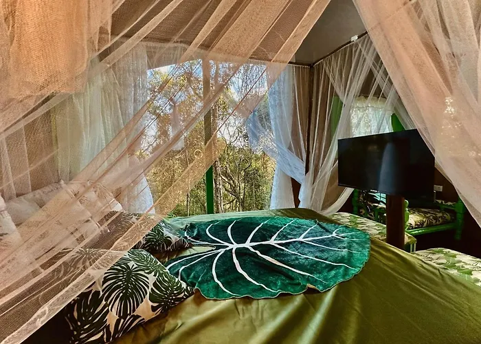 Sequoia Casa Na Arvore, Vila Magica