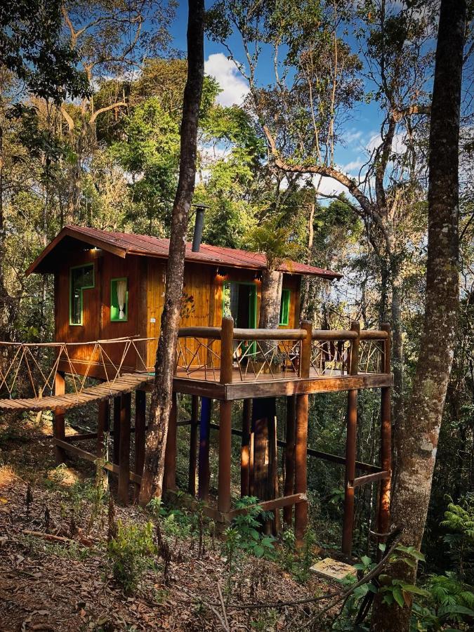 Lodge Sequoia Casa Na Arvore, Magica