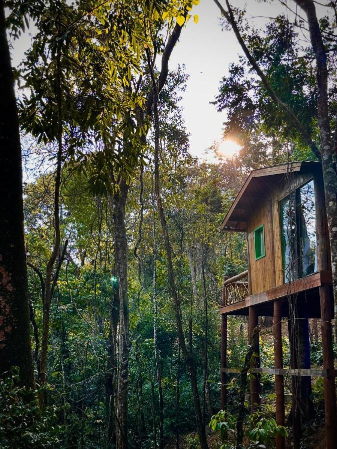 Sequoia Casa Na Arvore, Magica Lodge *